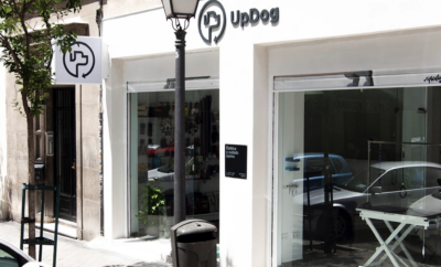 UPDOG Salamanca | Guardería para perros y Residencia canina
